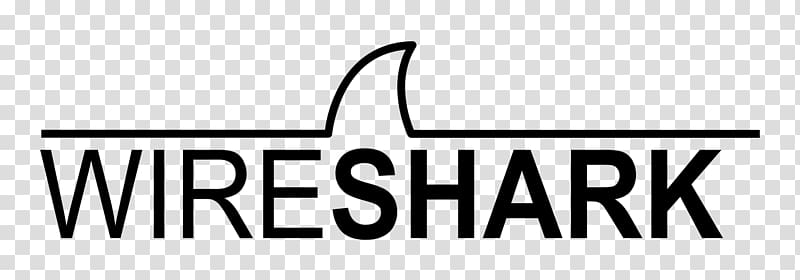 Projet TCP/UDP — Wireshark